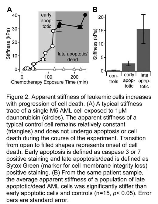 Figure 2. Apparent stiffness of leukemic cells increases with progression of cell death. (A) A typical stiffness trace of a single M5 AML cell exposed to 1μM daunorubicin (circles). The apparent stiffness of a typical control cell remains relatively constant (triangles) and does not undergo apoptosis or cell death during the course of the experiment. Transition from open to filled shapres represents onset of cell death. Early apoptosis is defined as caspase 3 or 7 postivie staining and late apoptosis/dead is defined as Sytox Green (marker for cell membrane integrity loss) positive staining. (B) From the same patient sample, the average apparent stiffness of a population of late apoptotic/dead AML cells was significantly stiffer than early apoptopic cells and controls (n = 15, p< 0.05). Error bars are standard error.