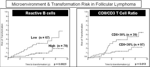 Microenvironment & Transformation Risk in Follicular Lymphoma