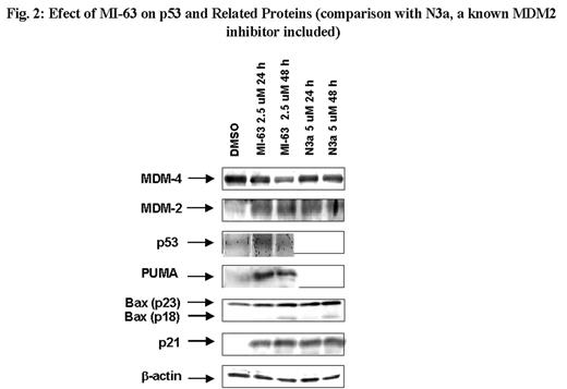 Fig.2:. Efect of MI-63 on p53 and Related Proteins (comparison with N3a, a known MDM2 inhibitor included)