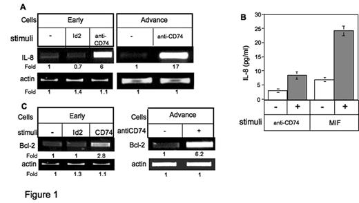 Fig 1:. CD74 induces IL-8 and Bcl-2 expression in CLL B cells. (A,C) Cells were incubated in the presence or absence of anti-CD74 antibody, Id2, a control antibody or MIF for 18 h. (A,C) RNA was purified and levels of IL-8, Bcl-2 and actin mRNA were analyzed. The results presented are representative of 7 early-stage and 5 advanced-stage B-CLL patients. (B) ) Cells’ conditioned medium was collected and their IL-8 levels were analyzed by ELISA. The results presented are representative of 3 independent experiments.
