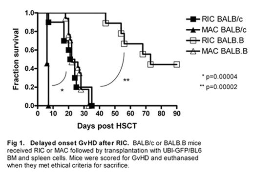 Fig 1. Delayed onset GvHD after RIC. BALB/c or BALB B mice received RIC or MAC followed by transplantation with UBI-GFP/BL6 BM and spleen cells. Mice were scored for GvHD and euthanased when they met ethical criteria for sacrifice.