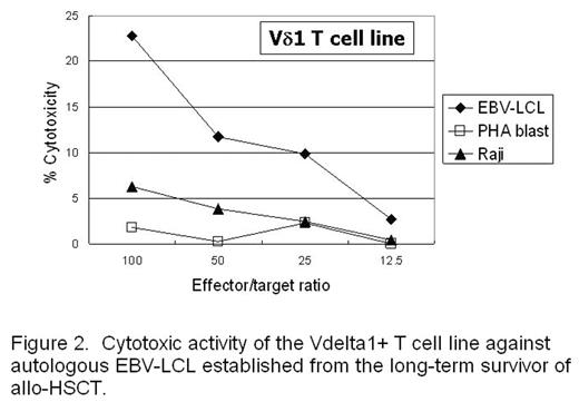 Figure 2. Cytotoxic activity of the Vdelta 1+ T cell line against autologous EBV-LCL established form the long-term survivor of allo-HSCT.