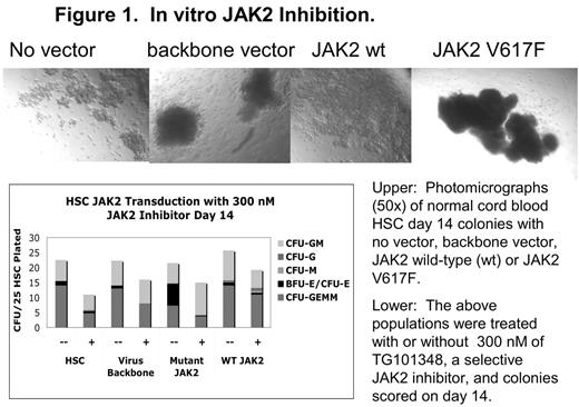 Figure 1. In vitro JAK2 Inhibition.