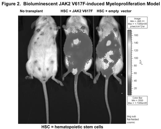 Figure 2. Bioluminescent JAK2 V617F-induced Myeloproliferation Model.