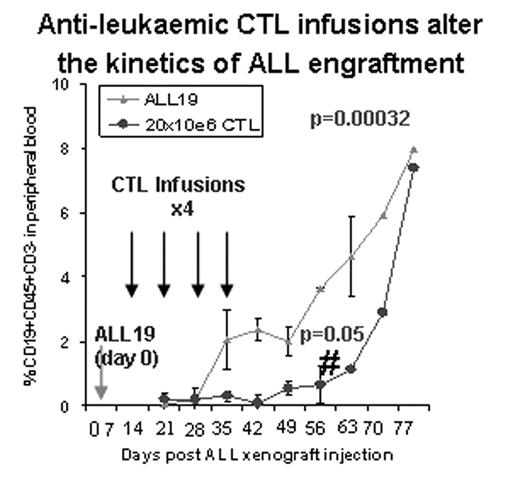Anti-leukaemic CTL infusions alter the kinetics of ALL engraftment