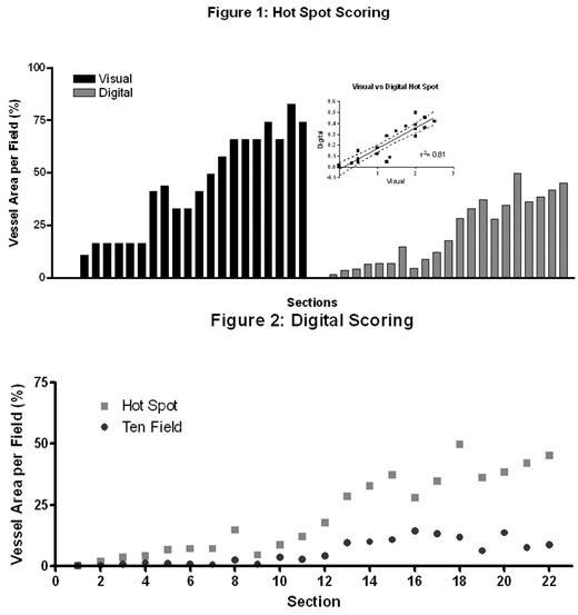 Figure 1:. Hot Spot Scoring