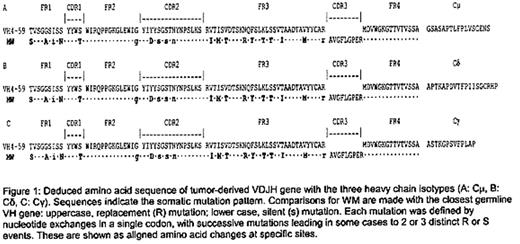 Figure 1:. Deduced amino acid sequence of tumor-derived VDJH gene with the three heavy chain isotypes (A: Cμ, B: Cδ C: Cγ). Sequences indicates the somatic mulation pattern. Comparison for WM are made with the closest germline VH gone; uppercase, replacement (R) mutation; lower case, silent (S) mutation. Each mutation was defined by nuclieotide exchanges in a single codon, with successive mutations leading in some cases to 2 or 3 distinct R or S events. These are shown as aligned amino acid changes at specific sites.