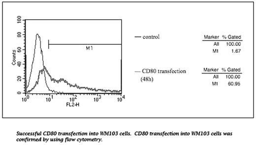 Successful CD80 transfection into WM103 cells. CD80 transfection into WM103 cells was confirmed by using flow cytometry.