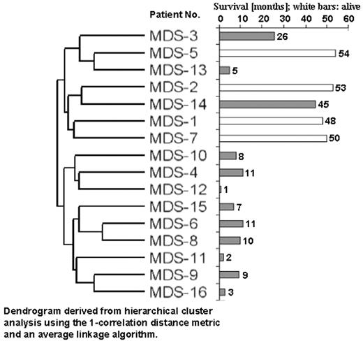 Dendrogram derived from hierarchical cluster analysis using the 1-correlation distance metrics and an average linkage algorithm.