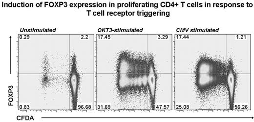 Induction of FOXP3 expression in proliferating CD4+ T cells in response to T cell receptor triggering