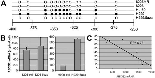 Figure 7. ABCG2 promoter methylation. (A) Cells were harvested at plateau phase, and the DNA was extracted and assayed by bisulfite DNA sequencing analysis. The figure shows the methylation status of the putative CpG island of the ABCG2 promoter in 4 cell lines. Filled circles represent methylated groups and the open circles, demethylated CpG. (B) H929/5aza are cells treated with 100 nM 5-aza-2′-deoxycytidine for 72 hours and the ABCG2 promoter was assayed by bisulfite sequencing. 5-Aza-2′-deoxycytidine was able to augment ABCG2 transcription in low ABCG2-expressing H929 cells but had no effect in moderate-expressing 8226 cells. (C) CD138-selected MM patient samples were assayed for ABCG2 promoter methylation after bisulfite conversion using real-time quantitative PCR. The percentage of alleles that was methylated inversely correlated with ABCG2 mRNA expression. Error bars represent the standard deviation for 3 separate experiments.