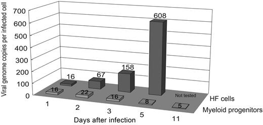 Figure 4. Summary of number of viral genomes per infected cell across a time course of infection of myeloid progenitor cells and HFs. At the indicated time points after infection, cells from HCMV-infected myeloid progenitor cell or HF cultures (MOI = 3) were analyzed by cell-dilution PCR and QC-PCR to determine number of viral genome copies per infected cell. The average from 2 independent replicate experiments is shown.
