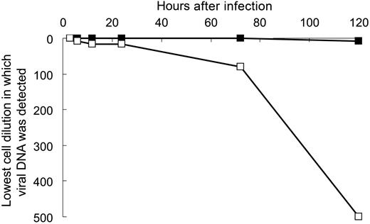 Figure 5. Maintenance of the viral genome in myeloid progenitor cells infected with either viable or UV-inactivated virus. Lysates of myeloid progenitor cells harvested at 3, 6, 12, 24, 72, and 120 hours after infection with either HCMV strain TownevarRIT3 (MOI = 3) or its UV-inactivated equivalent were serially diluted such that each reaction contained between 1 and 500 cell equivalents, and were analyzed by PCR for 40 cycles with primers IEP3C and IEP4BII. The dilution containing the lowest number of cell equivalents at which HCMV DNA was detected following infection with viable (▪) or UV-inactivated virus (□) was plotted against time after infection.