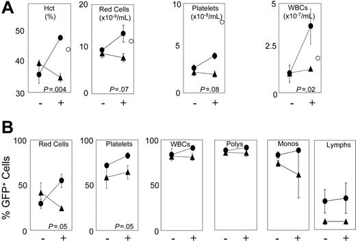 Figure 6. F36VMpl accelerates hematologic recovery following myeloablative irradiation. Twelve mice exposed to myeloablative irradiation (1050 cGy) were given transplants of either 7.6 × 105 F36VMpl-transduced (circles) or 6.6 × 105 F36VFGFR1-transduced (triangles) marrow cells, with gene transfer rates into progenitors of 65.6% and 46.6%, respectively. Beginning immediately following the infusion of transduced marrow cells, half of the mice in each group were treated with daily injections of AP20187 (10 mg/kg) for 3 doses (+). – indicates no CID. Complete blood counts were obtained 12 days after transplantation. (A) Complete blood counts. White cells were spuriously elevated in CID-treated mice that were given transplants of F36VMpl-transduced marrow cells due to the incorrect assignment of reticulocytes by the particle counter. ○ indicates measurements obtained from a normal control mouse. (B) Percentages of GFP+ red cells, platelets, WBCs, polymorphonuclear cells (polys), monocytes (monos), and lymphocytes (lymphs). Values reflect means of 3 mice. Error bars indicate SDs. All P values reflect differences between CID-versus non-CID–treated mice that were given transplants of F36VMpl-transduced marrow cells.