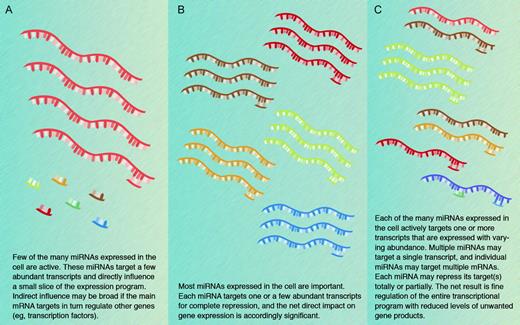 Figure 3. Models for the biological significance of miRNA functions. Three nonmutually exclusive models are presented, and the truth is likely to incorporate elements from each. Different modes may also operate in different cells or at different stages in development. Computational predictions form the basis for much of the current thinking and experimental evidence favoring each of the models remains limited.