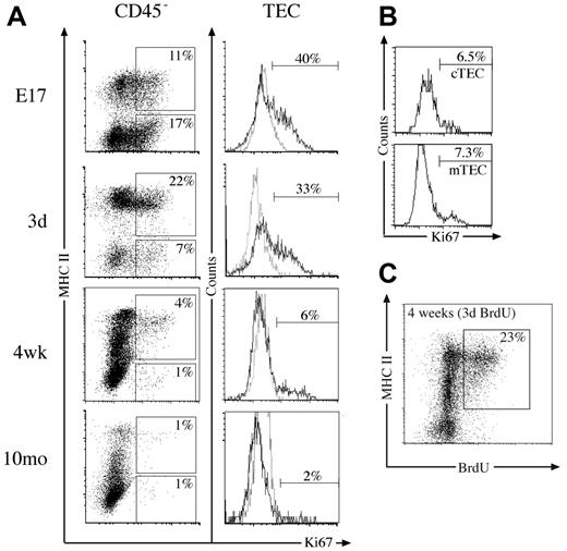 Figure 2. Proliferation capacity of thymic stromal cells. (A) Dot plots of MHC II versus Ki67 expression on CD45– thymic stromal cells at various time points, with regions indicating the proportion of Ki67+ TECs (CD45–/MHC II+) and Ki67+ non-TECs (CD45–/MHC II–). Histograms show Ki67 (solid line) and isotype control (dashed line) staining gated on TECs with markers indicating the proportion of Ki67+ TECs. (B) Histograms of Ki67 expression on cTECs (CD45–/MHC II+/Ly51+) and mTECs (CD45–/MHC II+/Ly51–) from 4-week-old mice, with markers set according to isotype controls. (C) MHC II expression versus BrdU incorporated into 4-week-old CD45– stromal cells following 3 days of constant exposure. The proportion of CD45– cells that are BrdU+ TECs is indicated. All plots are representative of 3 experiments performed.
