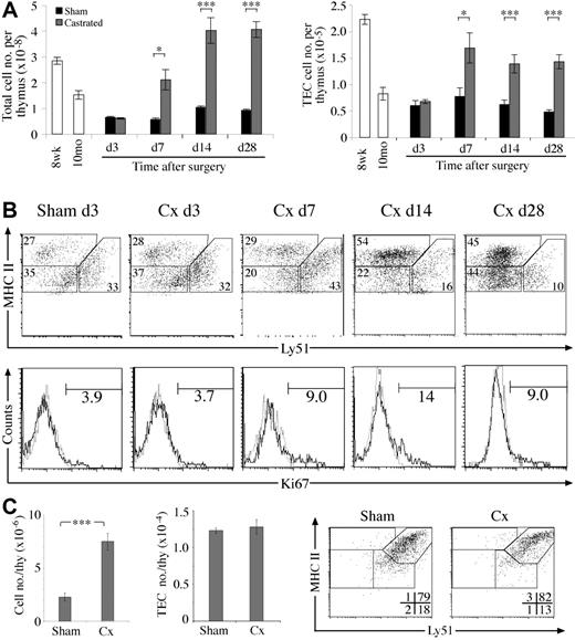 Figure 4. Kinetics of TEC regeneration following surgical castration of aged mice. (A) Total thymic cellularity and TEC number at various time points after castration or sham-castration of 10-monthold mice. (B) Dot plots of MHC II versus Ly51 expression on TECs (CD45–EpCAM+) from castrated or sham-castrated mice at various time points following surgery. Histograms show Ki67 expression on TECs with numbers showing the frequency of Ki67+ TECs. All sham-castrated controls showed similar profiles and proportions to the day 3 control shown. (C) Total thymic and TEC number of castrated or sham-castrated 4-month-old RAG–/– mice 28 days after surgery. Means and standard errors are shown for all graphs from 5 mice per group, and a Student t test was used to determine statistical significance (*P < .05, **P < .01, ***P < .001).