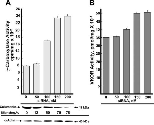 Figure 1. Effect of calumenin siRNA silencing on enzyme activities of the vitamin K–dependent γ-carboxylation system. BHK cells engineered to overexpress r-hFIX and VKORC1 were transfected with the various concentrations of siRNA SMART pool against hamster calumenin shown in the figure (“Materials and methods”). After 48 hours, cells were harvested and tested for FLEEL γ-carboxylase activity triggered with chemically reduced VitK1H2 (A) and VKOR activity (B). Each bar represents the average activity of 3 parallel incubations, and standard deviations are shown on top of the bars. Western blots of calumenin (48 kDa) present in the various siRNA SMART pool–treated cells are shown as well as silencing of calumenin in percentage of the control with 0 nM siRNA. Western blotting of α-actin verifies equal protein loading in the various lanes.