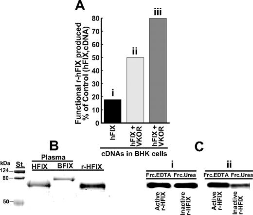 Figure 2. Effect of calumenin siRNA silencing on production of functional r-hFIX by BHK cells engineered to overexpress r-hFIX and VKORC1. Functional and nonfunctional r-hFIX were purified from cell media obtained from BHK cells engineered to overexpress (1) r-hFIX, (2) r-hFIX + VKORC1, and (3) r-hFIX + VKORC1 that had been treated with 200 nM of the calumenin siRNA SMART pool (“Materials and methods”). (A) The production yield of functional r-hFIX in percentage of total r-hFIX produced by each of the 3 differently engineered cells. The x-axis identifies the various bars representing the differently engineered cells: (i) r-hFIX, (ii) r-hFIX + VKORC1, and (iii) r-hFIX + VKOC1 + siRNA (SMART pool). (B) Coomassie blue–stained factor IX proteins purified from (1) cell medium of BHK cells engineered to overexpress r-hFIX and VKORC1 and treated with 200 nM calumenin siRNA SMART pool (r-HFIX), (2) human plasma factor IX (HFIX), and (3) bovine plasma factor IX (BFIX). (C) Western blots of functional (FrcEDTA) and nonfunctional (FrcUrea) r-hFIX purified from (i) medium from BHK cells engineered to overexpress r-hFIX and VKORC1 and (ii) medium from the same engineered cells treated with 200 nM of the calumenin siRNA SMART pool. The blots were developed with a factor IX antibody that does not discriminate between active and inactive protein. Each purified protein was Western blotted such that each blot represents the total amount of protein isolated.