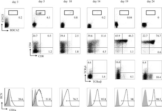 Figure 1. The OP9 cell line expressing the human Notch ligand Jagged1 (OP9-Jag1) supports development of CD34+CD1a– human thymic precursor cells into TCRαβ+ or TCRγδ+ T cells and BDCA2+CD123hi pDCs. CD34+CD1a– thymic precursors were cultured for up to 24 days on OP9-Jag1 stromal cells and analyzed by flow cytometry for surface expression of CD123, BDCA2, CD1a, CD4, CD8, TCRαβ, and TCRγδ on the days indicated. Numbers represent the percentages of cells that fall within the electronic gate. In the histograms, shaded curves show isotype controls and open curves show specific stainings. CD1a mean fluorescence intensities (MFIs) are 17.4 (day 3), 44.6 (day 5), 90 (day 10), 244 (day 14), 400 (day 19), 411 (day 24). Results are representative of 3 independent experiments. RCN indicates relative cell number.