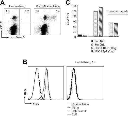 Figure 2. In vitro–generated pDCs produce IFN-α upon stimulation with either stimulatory CpG or virus. CD34+CD1a– thymic progenitors were cultured on OP9-Jag1 cells. (A) After 6 days of coculture, cells were stimulated with CpG (2216) (10 μg/mL) for 16 hours or left unstimulated. Flow cytometric analysis was performed after intracellular staining of IFN-α and surface staining of CD123. (B-C) After 5 days of coculture, cells were stimulated for 72 hours with (B) CpG (2216) (1 μg/mL) or (C) supernatant of HIV-1LAI–infected PM1 cells (2 ng or 10 ng p24 per milliliter) in the presence or absence of neutralizing antibodies against type I IFNs (10 μL/mL). Control CpG (2243) and supernatant of uninfected PM1 cells served as controls. Flow cytometry was performed after intracellular staining of MxA. (B) Left histogram: MxA protein expression of cultures treated with CpG (2216) (MFI, 114), exogenously added IFN-α (1000 U/mL; MFI, 148) (positive control), control CpG (2243) (MFI, 11), or unstimulated cells (MFI, 12) (negative controls). Right histogram: MxA levels after preincubation with neutralizing antibody to type I IFNs. (C) MxA protein expression in cultures stimulated with 10 μL or 2 μL of control virus supernatant (MFI, 10 and 10, respectively) or HIV-1LAI supernatant in the absence (MFI, 146 and 169, respectively) or presence of neutralizing antibodies (MFI, 85 and 75, respectively). Results are representative of 3 independent experiments.
