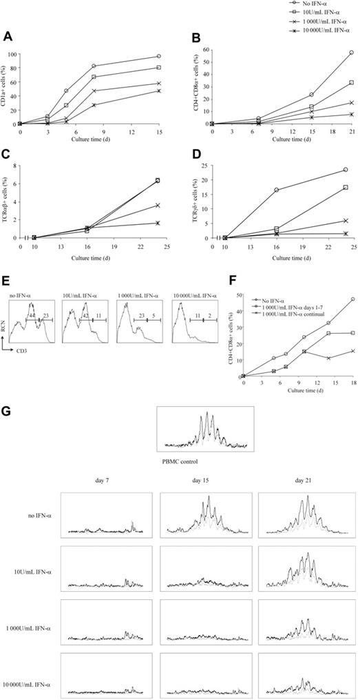 Figure 4. Exogenously added IFN-α reversibly interferes with the development of thymic CD34+CD1a– precursors into T cells. Sorted CD34+CD1a– thymic precursors were cultured on OP9-DL1 cells in the presence of IL-7 (5 ng/mL) and increasing concentrations of exogenously added IFN-α. At the time points indicated, percentages of cells expressing (A) CD1a, (B) CD4 and CD8 (ie, double-positive cells), (C) TCRαβ, (D) TCRγδ, and (E) CD3 (numbers indicate the percentages of cells in high and intermediate CD3 expression gates, respectively, on day 18 were determined by flow cytometry. (F) Inhibitory effects of IFN-α on T-cell development are reversible. Seven days after coculture in the presence of IFN-α (1000 U/mL), cells were washed, split, and cultured in the presence or absence of IFN-α. No IFN treatment was used as control. (G) V-DJ rearrangement of the TCRβ chain. Genomic DNA was isolated from CD34+CD1a– thymocytes cultured for the indicated time periods in the presence or absence of IFN-α and analyzed for V to DJ rearrangement by multiplex PCR and GeneScan analysis. Results of “tube A” containing 23 different Vβ primers and 9 different Jβ primers are shown. Black lines represent Vβ-Jβ1 rearrangements; gray lines, Vβ-Jβ2 rearrangements. Genomic DNA of peripheral blood mononucleated cells (PBMCs) served as control for polyclonal V-DJ rearrangement. Results are representative of at least 4 independent experiments.