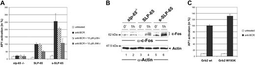 Figure 4. The atypical SH3 domain-binding motif and the C-terminal SH3 domain of Grb2 reduce the ability of SLP-65 to activate AP1. (A) SLP-65–regulated activation of an AP1-driven luciferase reporter gene. SLP-65–deficient cells were reconstituted with either full-length SLP-65 (middle bars) or s-SLP-65 (right bars) or, as control, were transfected with the empty vector (left bars). Subsequently, the AP1 reporter construct was transiently introduced by electroporation together with a β-galactosidase expression plasmid (for determination of transfection efficiency). Enzymatic activities of luciferase and β-galactosidase were determined for resting cells (□) and cells stimulated without further treatment through their BCR for 6 hours (▪) or cells that were pretreated for 1 hour prior to BCR activation with 10 μM of either SB202190 to inhibit p38 (p38-i, ▨) or SP600125 to inhibit JNK (JNK-i, ▦). At least 3 independent clones were measured in 4 independent experiments and data are normalized according to the transfection efficiency. Error bars indicate SD. (B) Immunoblot analysis of BCR-mediated synthesis of c-Fos. DT40 cell lines described in panel A were left untreated or BCR-stimulated for 1 hour and lysed and c-Fos expression was determined by immunoblotting with anti–c-Fos antibodies (top panel). Equal loading of cellular lysates was controlled by immunoblotting with antiactin antibodies (bottom panel). The relative molecular masses of marker proteins are indicated on the left. (C) Impact of the C-terminal Grb2 SH3 domain on AP1 activation. DT40 cells expressing equal amounts of either wild-type or W193K mutant Grb2 (left and right bars, respectively; also Figure 1D) were transfected with the AP1 reporter and β-galactosidase constructs, and resulting enzymatic activities in resting and BCR-stimulated cells (□, ▪, respectively) were determined as described in panel A. Error bars indicate SD of 3 independent measurements.