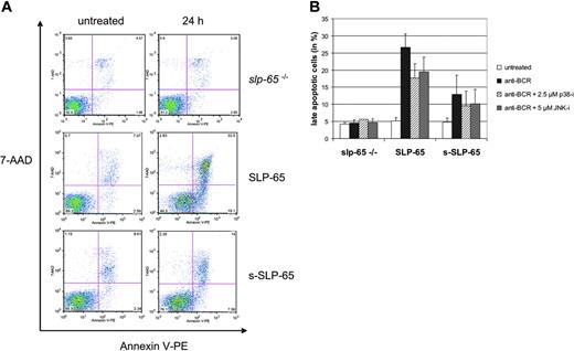 Figure 6. s-SLP-65–mediated apoptosis is diminished after BCR stimulation.(A) BCR-induced apoptosis mediated by SLP-65 and s-SLP-65. SLP-65–deficient cells (top row) or transfectants expressing either full-length or s-SLP-65 (middle and bottom rows, respectively) were left untreated or stimulated through their BCR for 24 hours (left and right panels, respectively). Following staining of the cells with 7-AAD and annexin V–PE, early and late apoptotic cells were identified by flow cytometry. (B) Statistical evaluation and influence of MAPK inhibition on SLP-65–regulated cell death. Apoptotic rates of resting and BCR-stimulated cells were calculated for 3 independent clones analyzed at least 2 times as described in panel A and for cells pretreated prior to BCR activation with 2.5 μM p38-i (SB202190, ▨) or 5 μM JNK-i (SP600125, ▦) to inhibit p38 and JNK, respectively. Error bars indicate SD of 9 independent experiments.