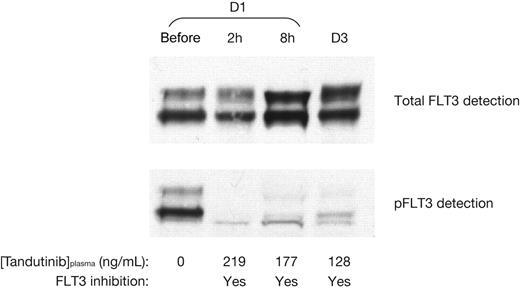 Figure 3. Relation between inhibition of FLT3 phosphorylation in peripheral blasts and plasma concentration of tandutinib in a single patient receiving 525 mg twice daily. D1 indicates day 1; D3, day 3.
