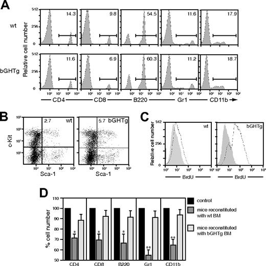 Figure 1. bGHTg mouse BM has large numbers of Sca-1+c-Kit+Lin– cells, which engraft more rapidly than those from control mice. (A) Flow cytometry analysis of T (CD4, CD8) and B-cell (B220) populations and myeloid lineages (CD11b, Gr1) from bGHTg and control (wt) mouse PBLs. Values shown represent the percentage of positive cells. (B) Flow cytometry analysis of Sca-1+c-Kit+Lin– BM cells from bGHTg and wt mice. (C) BrdU incorporation levels in BM cells from 3-month-old bGHTg and wt mice. Histograms correspond to representative animals (n = 6). (D) Flow cytometry analysis of mouse PBLs at 30 days after reconstitution with BM cells from bGHTg or wt mice. Data represent mean ± SD of 3 different experiments (n = 4 mice/assay).