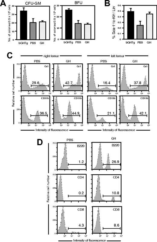 Figure 3. rhGH injection triggers HSC mobilization in mice. (A) Mice received a daily injection of rhGH or PBS (7 days), and the clonogenic activity of BM cells was evaluated. The mean ± SD is shown for 3 independent experiments. The clonogenic activity of BM cells from bGHTg mice is included as a control. (B) Flow cytometry analysis of Sca-1+c-Kit+Lin– cells in peripheral circulation of mice treated as in panel A. As control, Sca-1+c-Kit+Lin– staining is shown for bGHTg mouse blood. The mean ± SD is shown for 7 independent experiments. (C) Flow cytometry of myeloid lineages (Gr1, CD11b) in the right (left panels) and left (right panels) femurs of mice reconstituted by injection in the right femur with whole blood from mice treated for 7 days with rhGH or PBS. Values (inset) represent the percentage of positive cells. Histograms show representative animals (n = 8). (D) T (CD4, CD8) and B-cell (B220) population analysis in peripheral blood of mice reconstituted as in panel C. Values represent the percentage of positive cells. Histograms correspond to representative animals (n = 8).