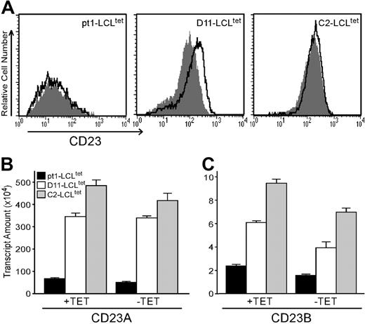 Figure 1. Pt1-LCLtet cells have diminished expression of CD23 protein and transcripts with LMP1 activation. (A) Cell surface expression of CD23. pt1-LCLtet and control LCLtet cells were cultured continuously in the presence of LMP1 (+tet, outlined peak) or in the absence of LMP1 (–tet, shaded peak) for 4 days. Cells were then stained with anti-CD23 and analyzed by flow cytometry. (B) Relative transcript levels of CD23a and CD23b. RNA from pt1-LCLtet cells (▪) and control LCLtet cells (D11: □; C2: ▦) was reverse-transcribed and analyzed by quantitative real-time PCR with probe sets specific for CD23a and CD23b. Note the scale difference of the y-axis. Results are expressed as relative transcript amounts and standard deviation of 3 independent experiments.