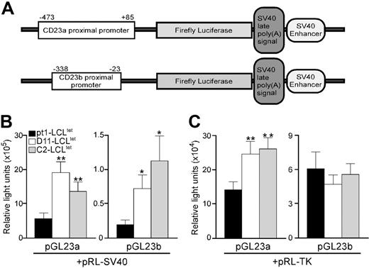 Figure 2. A trans-acting factor necessary for optimal CD23 transcription is limiting in pt1-LCLtet cells. (A) Schematic diagram of the pGL23a and pGL23b constructs denoting the approximate positions of the specific promoters and downstream genes encoded in the plasmid. LCLtet cells (pt1: ▪; D11: □; and C2: ▦), cultured continuously in the presence of tet, were transiently cotransfected with pGL23a/b constructs and either the pRL-SV40 (B) or the pRL-TK (C) control plasmids. Luciferase activity was assayed 48 hours after transfection. Results are shown as relative light units with SEM of at least 3 independent experiments with P < .1 (*) or P < .05 (**).