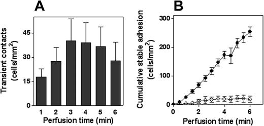 Figure 2. Adhesion of PMNs to VWF under flow conditions. Freshly isolated PMNs (5 × 105 cells/mL) were perfused for 6 minutes over VWF-coated coverslips at a shear rate of 50 s–1. (A) Perfusion of nonstimulated PMNs was recorded for 6 minutes, and leukocyte interactions were analyzed to determine transient (less than 3 seconds) contact. Depicted are the numbers of contact for each minute. (B) Perfusion of nonstimulated (○) or PMA-stimulated (•) PMNs was recorded for 6 minutes and was analyzed to determine the amount of stable adherent cells. Shown is the cumulative number of stably adherent cells compared with time of perfusion. Data represent mean ± SEM of 7 to 8 experiments and are corrected for adhesion to PVP-coated coverslips (less than 2 cells/mm2 after 6 minutes).