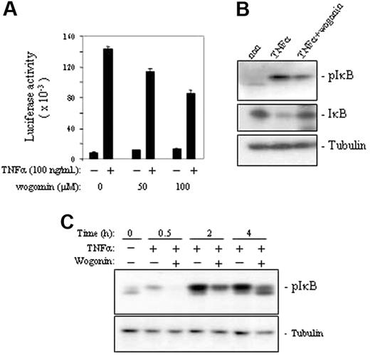 Figure 3. Wogonin attenuates TNFα-induced NF-κB activity. (A) J-Luc-κB cells were treated with or without TNFα in the presence or absence of different amounts of wogonin as indicated. NF-κB activities were determined by luciferase assays after 8 hours of treatment. Data are representative of 3 independent experiments in triplicate assays. Error bars indicate SD. (B) Western analysis of TNFα-induced NF-κB activation in the presence and absence of 100 μM wogonin. (C) Kinetic analysis of wogonin-mediated suppression of TNFα-induced phosphorylation of IκB. J-Luc-κB cells were preincubated with 100 μM wogonin for 30 minutes and then stimulated with 50 ng/mL TNFα for 0.5 to 4 hours as indicated.