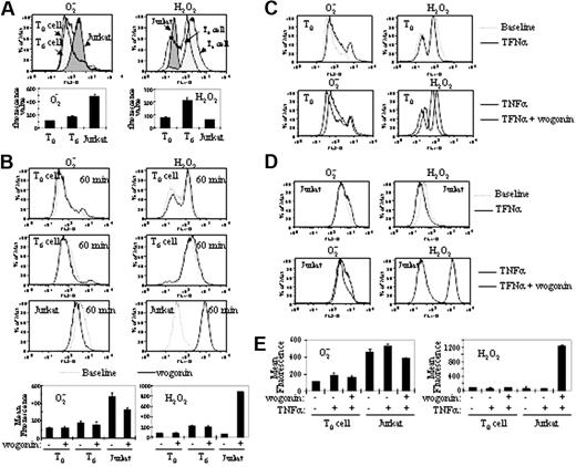 Figure 6. The effects of wogonin on redox status of malignant and normal T cells. (A) Malignant Jurkat T cells produce ROSs at a greater level than normal T cells. The basal redox status of Jurkat, freshly isolated normal peripheral blood T cells (T0), or T cells further cultured for 6 days (T6) were monitored by the oxidation-sensitive fluorescent dyes for ·O2– and H2O2. The unfilled and light gray profiles are normal peripheral blood T0 and T6 cells, respectively. The dark gray profile is Jurkat T cells. The data are also presented as bar charts. (B) Wogonin has stronger effects on the redox status of malignant than normal T cells. T0,T6 and Jurkat T cells were treated with 50 μM wogonin for 60 minutes. The redox status was measured as in panel A. The data are also presented as bar charts. (C-D) Wogonin exerts stronger inhibition of TNFα-induced ROSs in malignant T cells. Normal peripheral blood T (T0) (C) and Jurkat T cells (D) were treated with 100 ng/mL TNFα in the presence or absence of 50 μM wogonin. The ·O2– and H2O2 levels were measured after 2 hours of treatment by the oxidation-sensitive fluorescent dyes as in Figure 2. (E) Data from panels C and D are compared by bar charts. The comparative analysis was carried out in the same experiment on the same day using the same instrument settings. Error bars indicate SD of triplicate experiments.