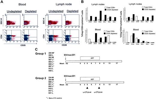 Figure 1. CD25 depletion reduces virus-specific immune responses. (A) FACS analysis of CD4+ T cells following depletion of CD25+ T cells. (B) Production of cytokines by total or CD25-depleted CD4+ and CD8+ T cells following Gag-specific stimulation in vitro. Cells were obtained from lymph nodes or blood before the initiation of the study. (C) Schematic representation of the study design and numerical designation of the animals enrolled. *Mamu-A*01+ macaques.
