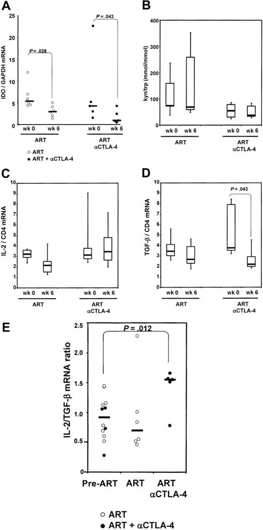 Figure 3. IDO mRNA expression and enzymatic activity. (A) IDO mRNA expression, analyzed by real-time PCR, on total RNA extracted from macaques' lymph nodes before initiation of ART (week 0), and after 6 weeks of treatment (ART) and MDX-010 treatment (ART and anti–CTLA-4) for each group. (B) Plasma kynureninetryptophan ratio measured by high-performance liquid chromatography in each group before initiation of ART (week 0), and after 6 weeks of treatment (ART) and MDX-010 (ART and anti–CTLA-4). Changes in IL-2 mRNA (C) and TGF-β (D) induced by ART and ART and anti–CTLA-4 after 6 weeks of treatment in each group. (E) Ratio between the level of IL-2 and TGF-β mRNA. Pre-ART indicates before initiation of ART. For panels A and E, dots represent individual values for each animal; horizontal bars correspond to the median. For panels B-D, horizontal bars within boxes correspond to the median; box limits correspond to the 25th and 75th percentiles; and vertical lines extend to the 10th and 90th percentiles.