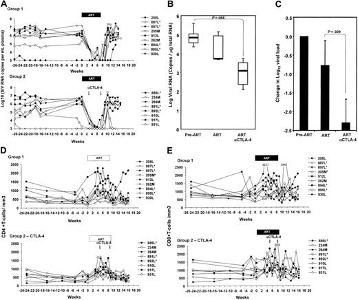 Figure 4. Viral RNA levels in plasma and lymph nodes. (A) Virus levels in plasma of the macaques treated with ART alone (top panel) or ART plus anti–CTLA-4 (bottom panel). (B) SIVmac251 RNA quantified on 1 μg total RNA extracted from macaque lymph nodes before initiation of ART (pre-ART), and after 6 weeks of treatment (ART) and MDX-010 (ART and anti–CTLA-4). Horizontal bars within boxes correspond to the median; box limits correspond to the 25th and 75th percentiles; and vertical lines extend to the 10th and 90th percentiles. (C) Changes in SIVmac251 RNA induced by ART and ART plus MDX-010 (ART and anti–CTLA-4) after 6 weeks of treatment. Mean values plus standard error are shown. (D-E) CD4+ (D) and CD8+ (E) absolute counts per cubic millimeter in blood of the macaques over time.