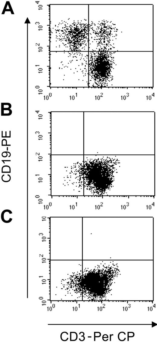 Figure 2. T lymphocytes redirected to express the κ-specific CAR eliminate Igκ+dim tumor cells. T lymphocytes obtained from healthy donors and transduced either with control-GFP vector (A), CAR46ζ (B), or CAR46/28ζ (C) were cocultured with the CCL-120 tumor cell line (ratio, 5:1), which is Igκ+dim. After 5 to 7 days of culture, cells were collected and stained with CD3-PerCP and CD19-PE to evaluate the growth of CD19+ tumor cells. No CD19+ cells were detectable after coculture with CAR46ζ+ or CAR46/28ζ+ T lymphocytes, whereas CD19+ cells were detectable when tumor cells were cocultured with control T cells.