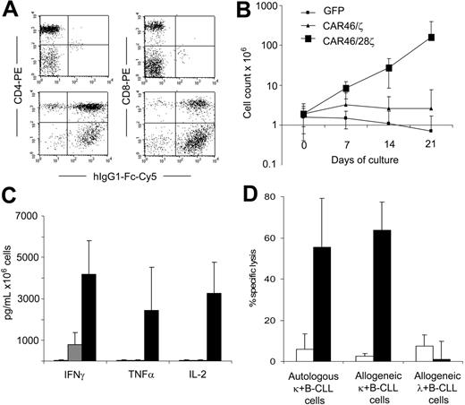 Figure 3. T lymphocytes from B-CLL patients expressing the κ-specific CAR kill primary κ+ B-CLL cells and expand when CD28 endodomain is present in the CAR. CD3+ T lymphocytes were isolated from patients with κ+ B-CLL. After activation with CD3/CD28 antibodies, T lymphocytes were transduced either with CAR46ζ or CAR46/28ζ or control GFP vector. After transduction, T lymphocytes were stained either with CD4-PE or CD8-PE antibodies and with Fc-γCy5 antibody to detect the expression of the CAR. Panel A illustrates the profile for Fc-γCy5 antibody in control T lymphocytes (top panels) and CAR46/28ζ+ T lymphocytes (bottom panels). Both CD4 and CD8 cells were transduced. Control, CAR46ζ+ and CAR46/28ζ+ T lymphocytes were stimulated weekly with autologous B-CLL cells (ratio, 1:1) without exogenous cytokines. Panel B illustrates that only CAR46/28ζ+ T lymphocytes expanded (for at least 3 weeks) after antigenic stimulation. Panel C shows that CAR46/28ζ+ T lymphocytes (▪) released significantly more IFN-γ (P = .01) and IL-2 (P = .02) than CAR46ζ T cells (▦) or control T cells (□) after stimulation with autologous B-CLL cells. Data represent mean ± SD of 4 different donors. The specificity of expanded T lymphocytes was then evaluated using a CFSE-based cytotoxicity assay (E/T ratio, 20:1). Panel D illustrates that CAR46/28ζ T lymphocytes (▪) killed autologous and allogeneic κ+ B-CLL cells, but not allogeneic κ+ B-CLL cells. In contrast, no significant killing was observed for control transduced T lymphocytes expanded in the presence of exogenous IL-2 (□). Data represent mean ± SD of 3 different donors.