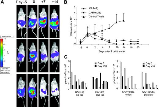 Figure 7. CAR+ T lymphocytes control tumor growth in vivo. Activated CD3+ lymphocytes expressing CAR46ζ or CAR46/28ζ, or control T lymphocytes (5 × 106 cells) were injected intraperitoneally into SCID mice bearing κ+ Daudi cells (0.5 × 106 cells) labeled with FFLuc gene. No exogenous cytokines were injected into the mice. Day 0 is the day of adoptive transfer of T cells, 10 to 11 days after tumor implant. Tumor growth was monitored using an in vivo imaging system (Xenogen-IVIS Imaging System). Panels A illustrates that tumor growth measured as intensity of the signal (p/s/cm2/sr) was significantly greater in mice receiving control T cells (top panels) by day 25 after T-cell infusion compared to mice receiving CAR46ζ+ T lymphocytes (middle panels) or CAR46/28ζ+ T cells (bottom panels). Panel B illustrates the mean ± SD of 6 mice/group (P < .001). Panel C compares outcomes in mice bearing κ+ Daudi cells labeled with FFLuc gene and treated with either CAR46ζ+ or CAR46/28ζ+ T cells and receiving intraperitoneal injections of human immunoglobulins 3 times a week or no treatment. Tumor growth was monitored using an in vivo imaging system (Xenogen-IVIS Imaging System). Data are results of 5 mice/group.
