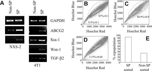 Figure 2. RT-PCR shows up-regulation of stem cell markers and only the SP fully repopulates the tumor cell population in vitro. (A) RNA from SP- and non-SP–sorted NXS2 or 4T1 cells were amplified with primers targeting the indicated genes. (B-E) Hoechst 33342 dye–stained 4T1 cells were sorted into 3 separate groups; (B) PI–/live, (C) SP, and (D) non-SP cells. Following sorting, each group of cells was cultured for 7 days, restained with the Hoechst 33342 dye, and analyzed by FACS to determine the percentage of cells found within each compartment. Each figure represents 1 of 3 experiments. (E) The percentage of repopulation of the non-SP compartment in SP-derived cultures and the percentage of repopulation of the SP compartment in non-SP–derived cultures. Data represent the mean and SEM of the percentage of repopulation.