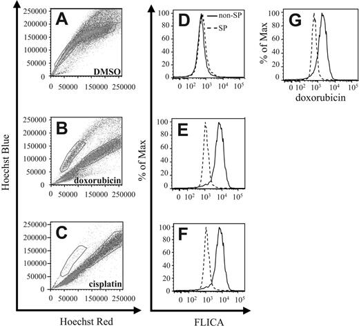 Figure 3. 4T1 SP cells are more chemoresistant than non-SP cells. (A-C) 4T1 cells were cultured in the presence of DMSO, Dox, or CDDP for 24 hours, followed by staining with Hoechst 33342 dye, and analyzed by FACS. Gates represent the SP and non-SP in each figure. (D-F) In addition to Hoechst 33342 dye, cells were also stained with the CaspaTag pan-caspase inhibitor FLICA to determine the extent of apoptosis occurring in each compartment by FACS. (G) Doxorubicin-treated cells were analyzed by FACS to quantitate the level of intracellular doxorubicin within each compartment. Each figure represents 1 of 3 experiments.