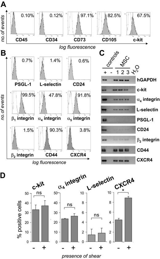 Figure 1. MSCs express characteristic surface antigens and adhesion molecules. (A-B) MSCs were stained with monoclonal antibodies directed against the indicated antigens (filled areas) or isotype control antibodies (open areas). Inserted values represent percent positive cells. (C) RNA was extracted from 3 different MSC isolates and analyzed by RT-PCR for the presence of transcripts of the indicated adhesion receptors. (D) MSCs were passaged through a parallel plate flow chamber over uncoated glass slides at a calculated wall shear stress of 0.5 dynes/cm2. Controls were kept under static conditions during this time. Subsequently, MSCs were analyzed for the expression of adhesion receptors by flow cytometry. MSCs used for these experiments were from passages 5 to 9. *P < .05 (Student t test); ns indicates not significant.
