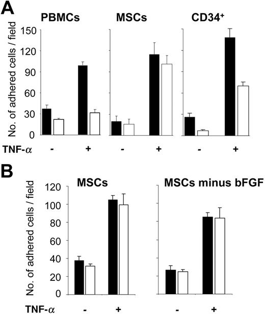 Figure 4. MSCs adhere to ECs under shear flow. (A) MSCs from passage 9, PBMCs, or CD34+ HPCs (106/analysis) were flushed over a HUVEC monolayer in the parallel plate flow chamber and analyzed at a calculated shear stress of 0.1 dynes/cm2 (▪) or 2.0 dynes/cm2 (□). Numbers of adherent cells were determined in 3 representative fields. (B) MSCs (passage 8), pregrown in medium in the presence and absence of bFGF for 7 days, were analyzed as described in panel A. The analyses were performed either with or without prestimulation of HUVECs with 10 ng/mL TNF-α for 4 to 6 hours as indicated. Values are means ± SD; n = 3.
