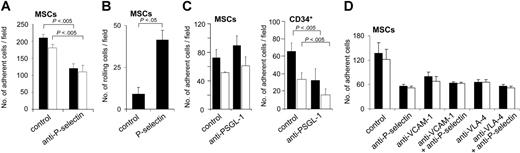 Figure 5. MSCs display P-selectin–dependent rolling and adhesion behavior on ECs. (A-B) P-selectin–dependent interaction of MSCs under flow. (A) MSCs (106) were preincubated or not with anti–P-selectin antibody and analyzed in the parallel plate flow chamber at a calculated shear stress of 0.1 dynes/cm2 (▪) or 2.0 dynes/cm2 (□) on precoated HUVECs stimulated with TNF-α (10 ng/mL for 4-6 hours). Numbers of adhered cells were determined in 3 representative fields. (B) MSCs (106) were flushed over glass slides precoated with P-selectin or control slides coated with BSA-containing buffer only in the parallel plate flow chamber at a calculated shear stress of 0.2 dynes/cm2. Numbers of rolling cells were determined in 3 representative microscopic fields. (C) MSC binding to HUVECs is not blocked by anti–PSGL-1. MSCs or CD34+ progenitors (106) were flushed over HUVEC layers pretreated with 10 ng/mL TNF-α for 4 to 6 hours. Numbers of cells were determined after application of a calculated shear stress of 0.1 dynes/cm2 (▪) or 2.0 dynes/cm2 (□). Pretreatment of MSCs or CD34+ cells with anti–PSGL-1 antibody was performed as indicated. (D) Influence of VCAM-1/VLA-4 on adhesion of MSCs to HUVECs. MSCs were pretreated or not with anti–VLA-4 antibody, HUVECs with anti–P-selectin or anti–VCAM-1 (or both) antibody for 30 minutes prior to analysis as indicated. Subsequently, 106 MSCs were flushed through a parallel plate flow chamber and numbers of adherent cells were recorded after application of a calculated shear stress of 0.1 dynes/cm2 (▪) or 2.0 dynes/cm2 (□). HUVEC monolayers were pretreated with 10 ng/mL TNF-α for 4 to 6 hours prior to the experiments. MSCs used for the experiments were derived from passages 6 to 9. Values are means ± SD; n = 3.