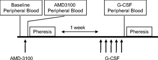Figure 1. Clinical protocol. Healthy donors for allogeneic stem cell transplantation were treated with a single dose of AMD3100 (240 μg/kg) and, following a 1-week washout period, with 5 days of daily G-CSF (10 μg/kg/d). Leukapheresis was initiated 4 hours after AMD3100 and 5 days after G-CSF treatment. Peripheral blood was drawn prior to AMD3100 treatment (baseline) or immediately prior to each leukapheresis.