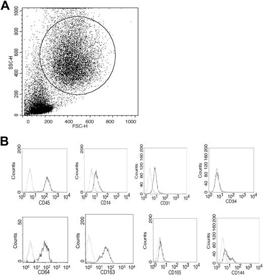Figure 2. Cell surface phenotype of CACs. (A) Representative forward and side scatter histogram of cultures on day 7. The gate used to analyze cells is shown. (B) Representative histograms of cells stained with the indicated antibody. Isotype controls are shown as stippled lines.