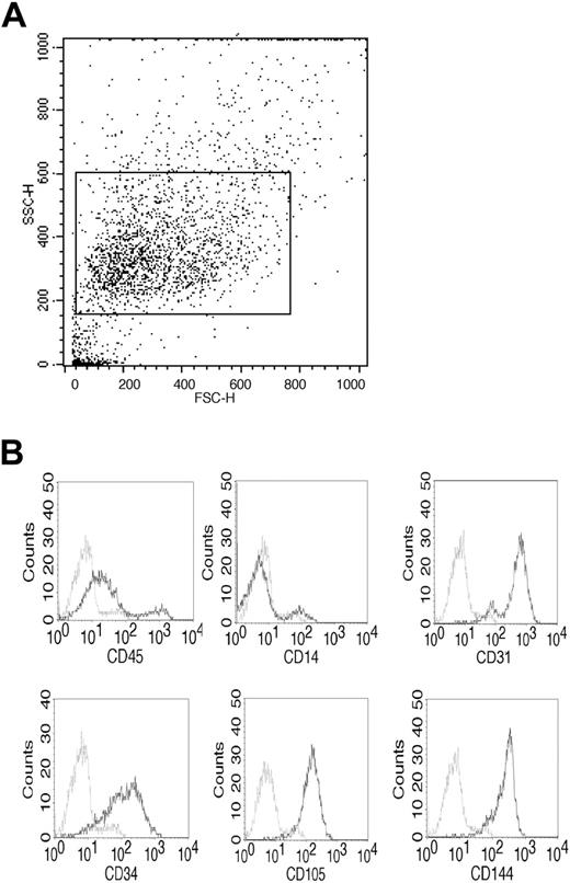 Figure 3. Cell surface phenotype of EPCs. (A) Representative forward and side scatter histogram of cultures on day 28. The gate used to analyze cells is shown. (B) Representative histograms of cells stained with the indicated antibody. Isotype controls are shown as stippled lines.